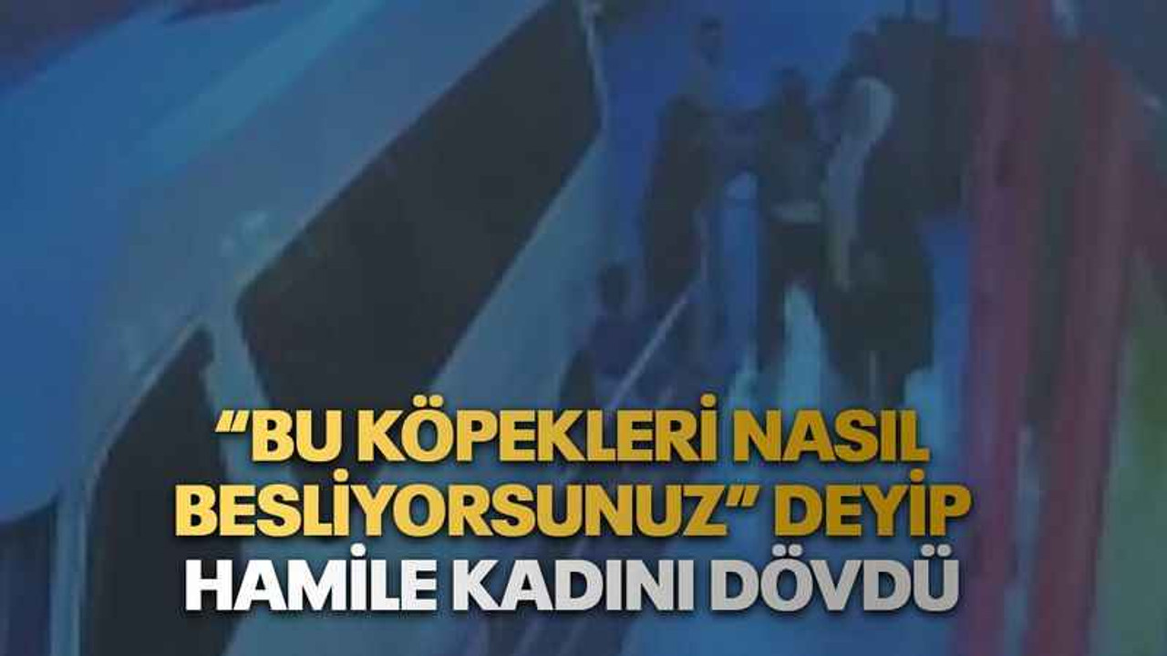 “Bu köpekleri nasıl besliyorsunuz” deyip hamile kadını dövdü